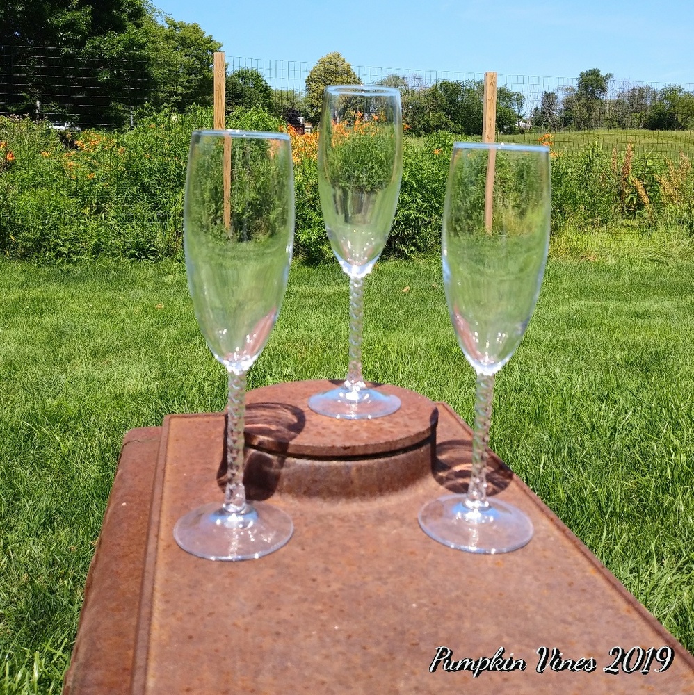 Champagne Flutes with Twiste Stem